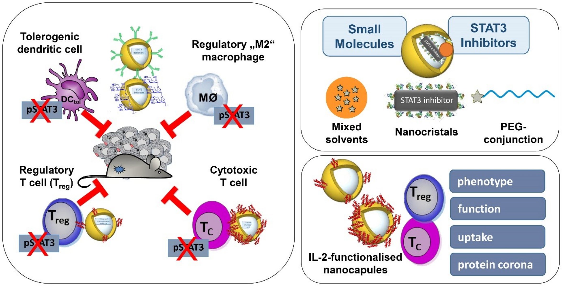 UKM Hautklinik | Forschung