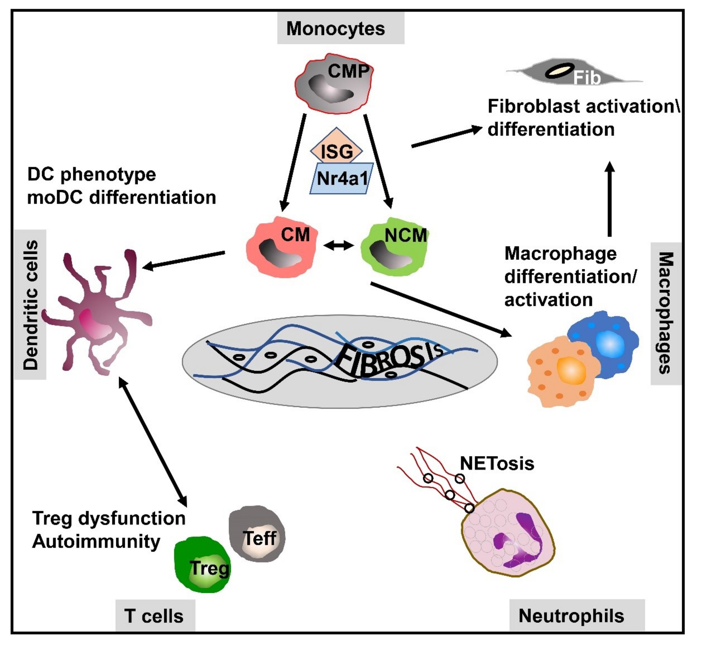 UKM Hautklinik | Forschung