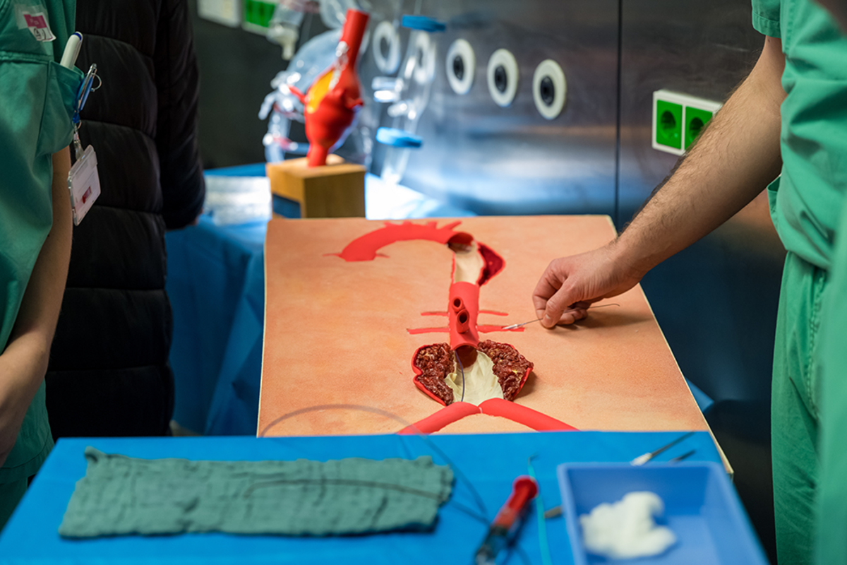 UKM Pflege | Tag des offenen OP | Modell des Bauchraums