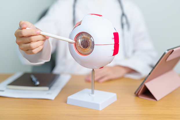 UKM Augenklinik | Schwerpunkte | Grauer Star