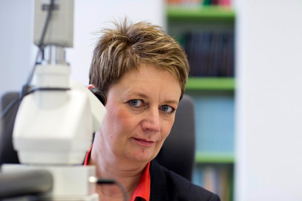 Jahrestagung Pathologie | Eva Wardelmann