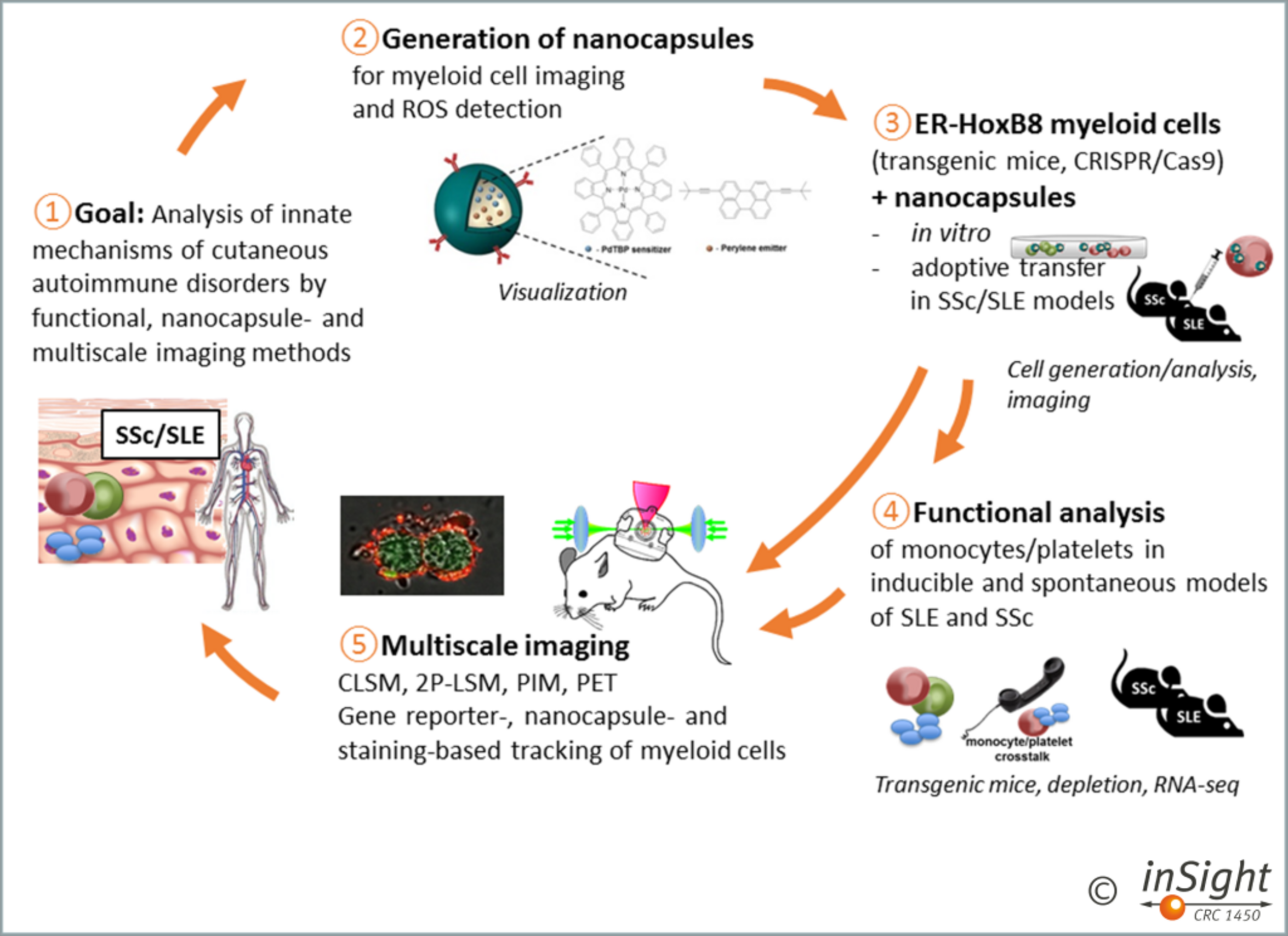 UKM Hautklinik | Forschung