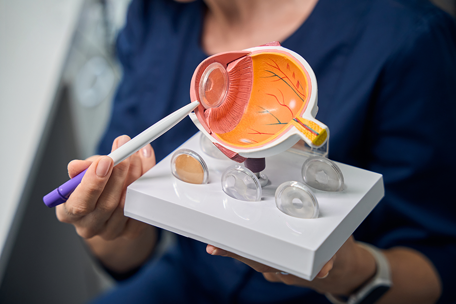 UKM Augenklinik | Erbliche Netzhauterkrankungen