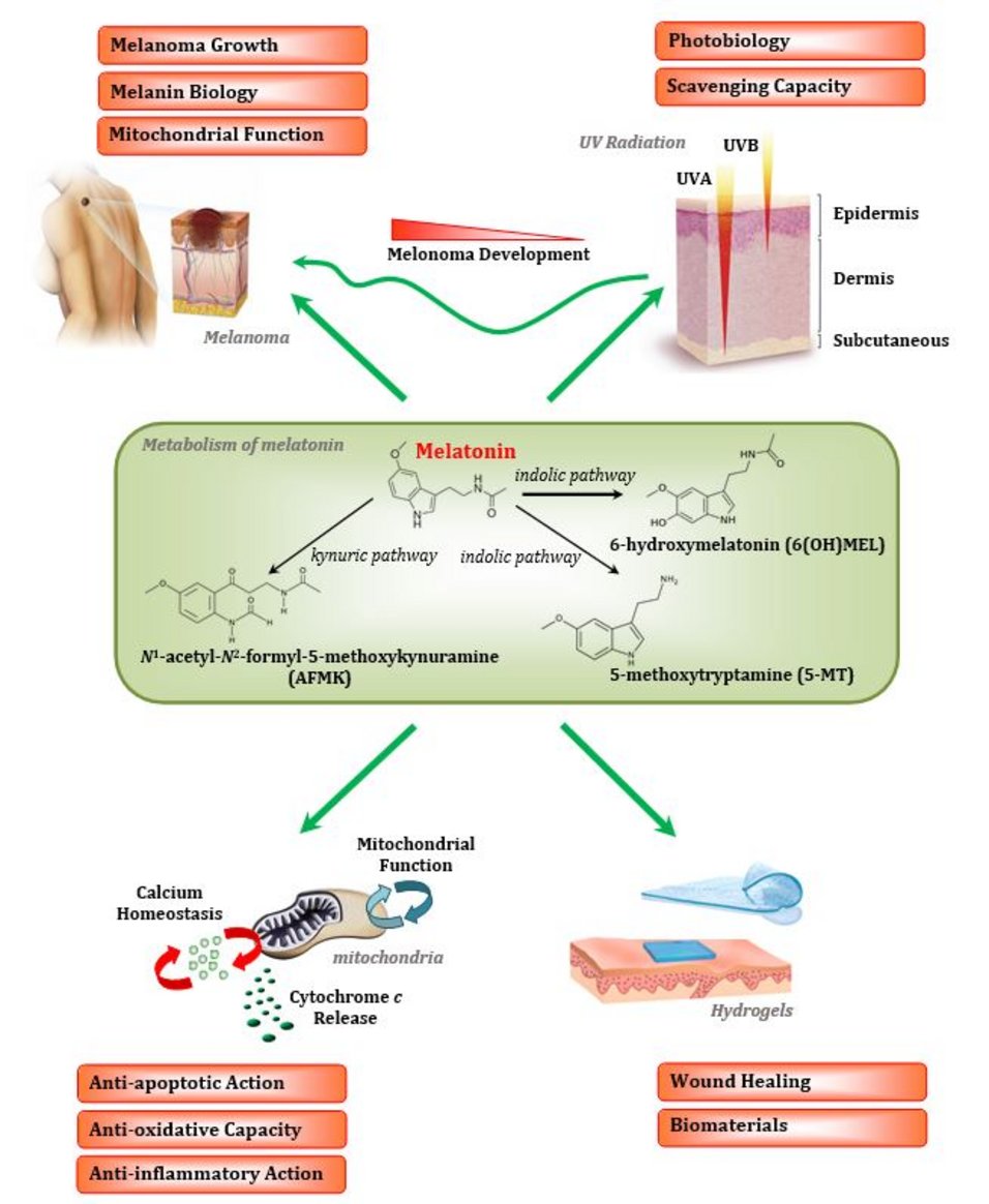 UKM Hautklinik | Forschung | Molekulare Dermatoendokrinologie | Grafik